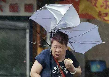 娱乐吃瓜酱老伞,揭秘老伞背后的故事与传奇